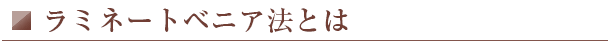 ラミネートベニア法とは