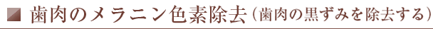 歯肉のメラニン色素除去（歯肉の黒ずみを除去する）